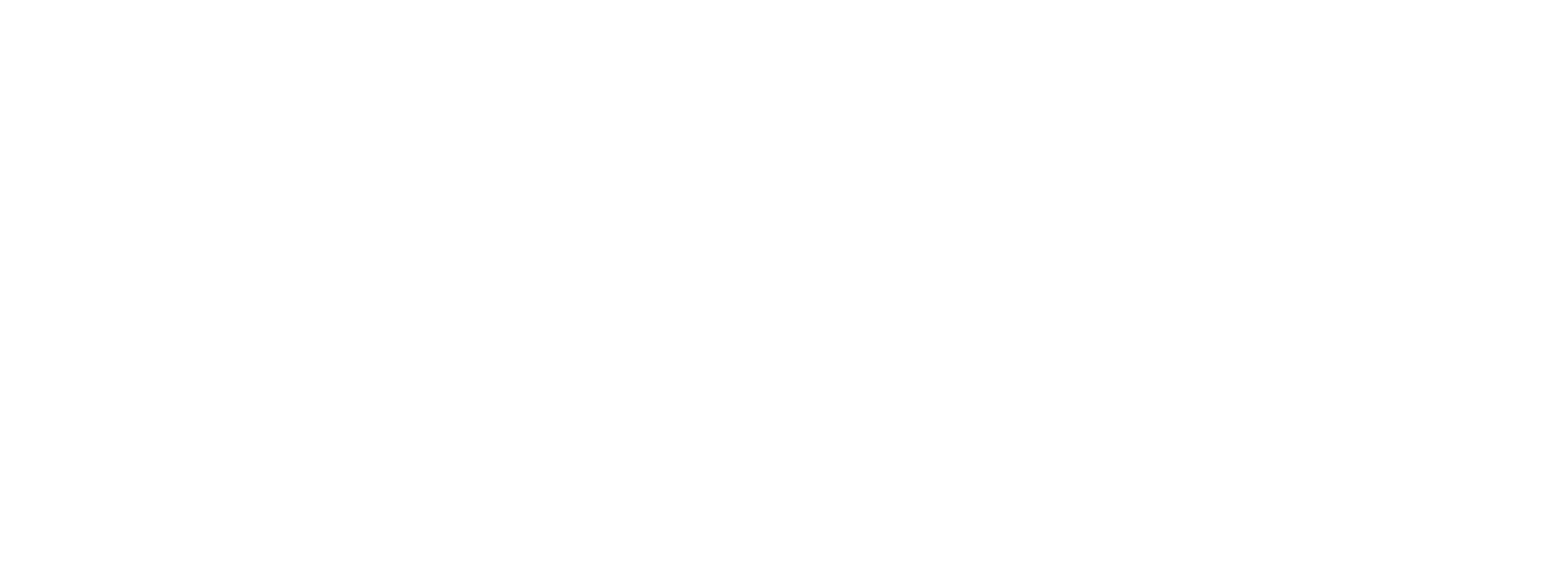 Narayan Buildchem Logo